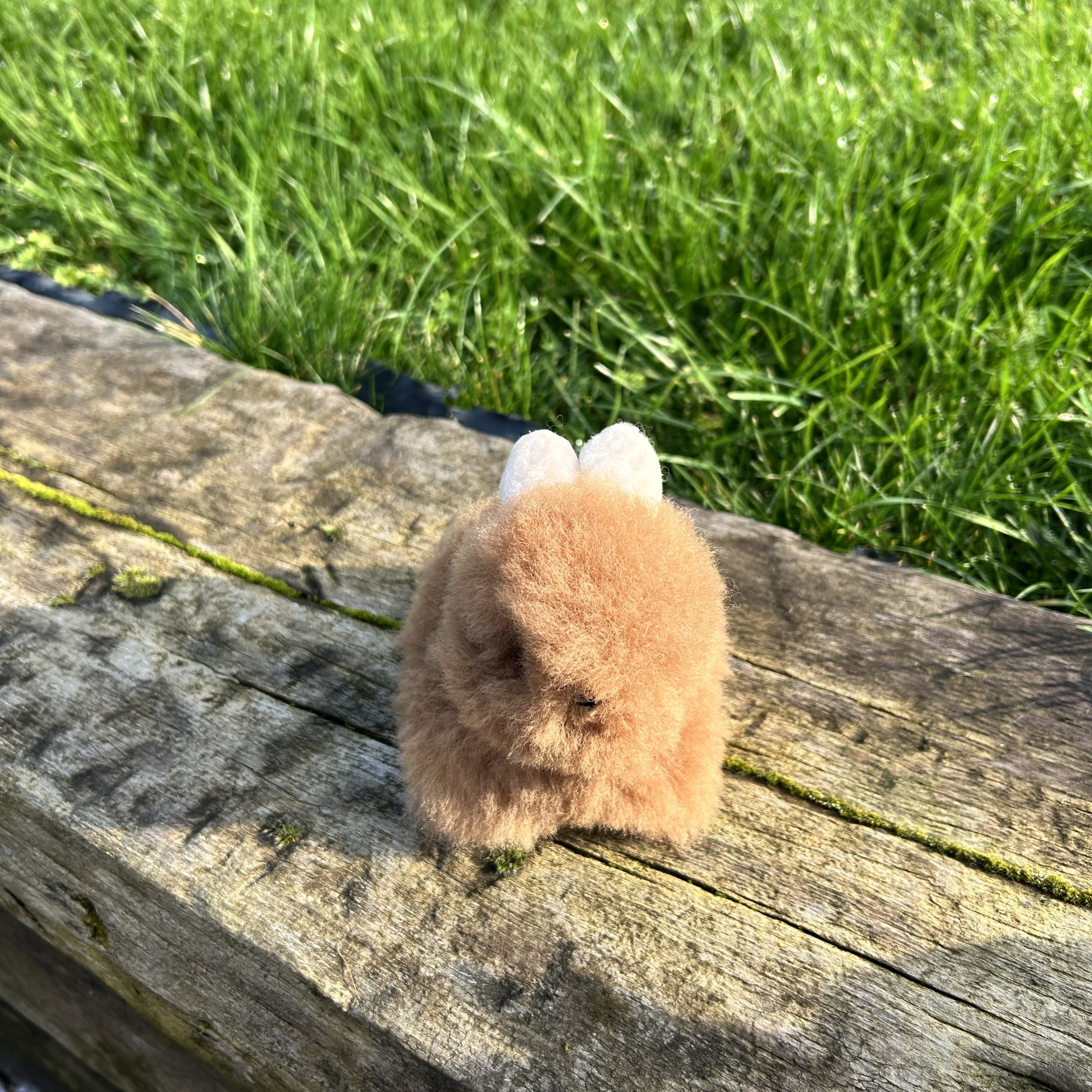 Alpaca Bunny