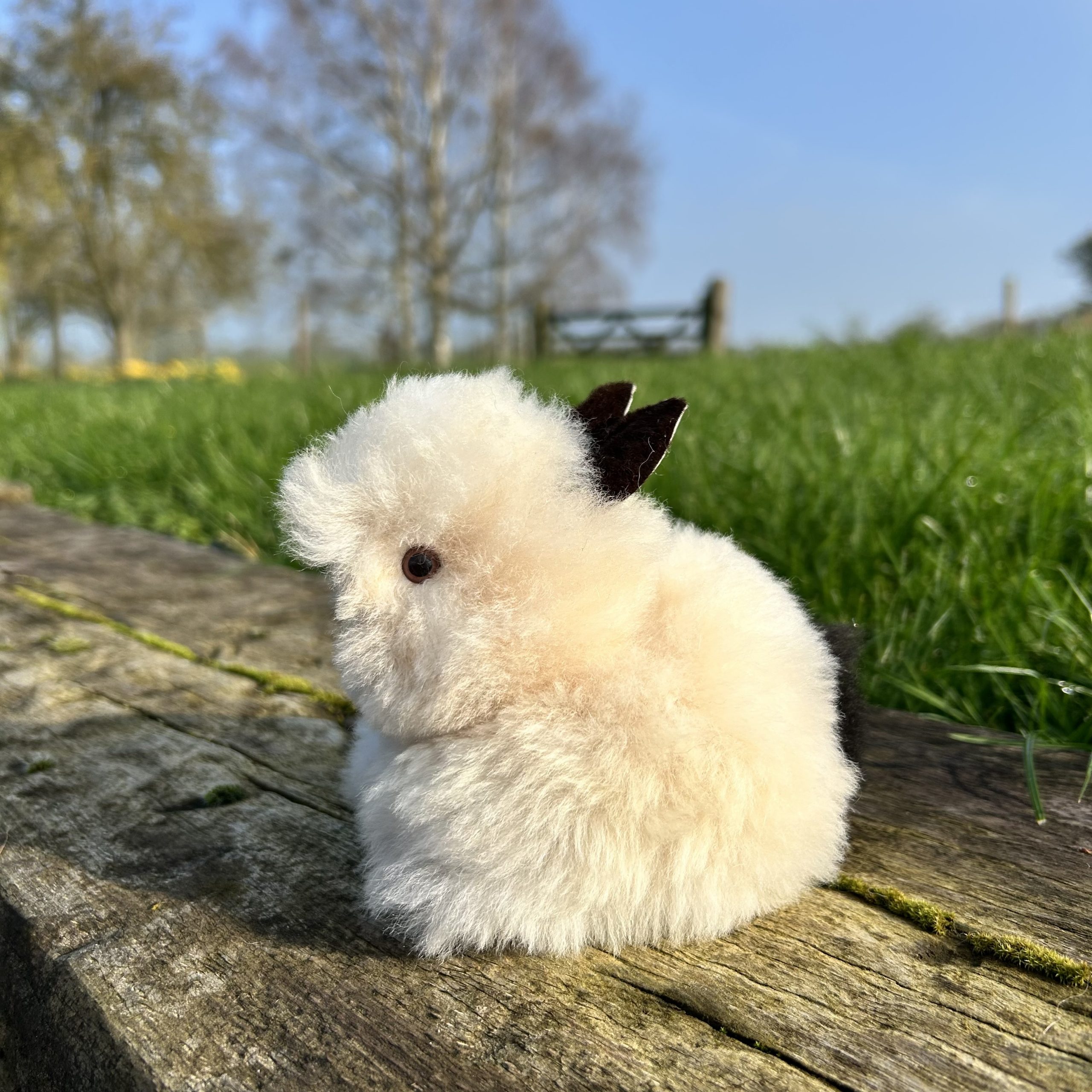 Alpaca Bunny