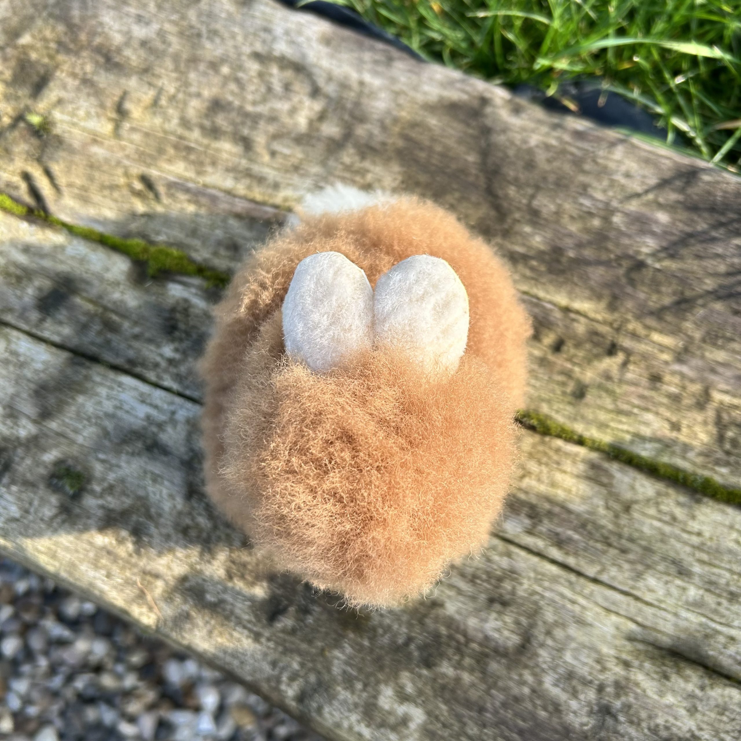 Alpaca Bunny