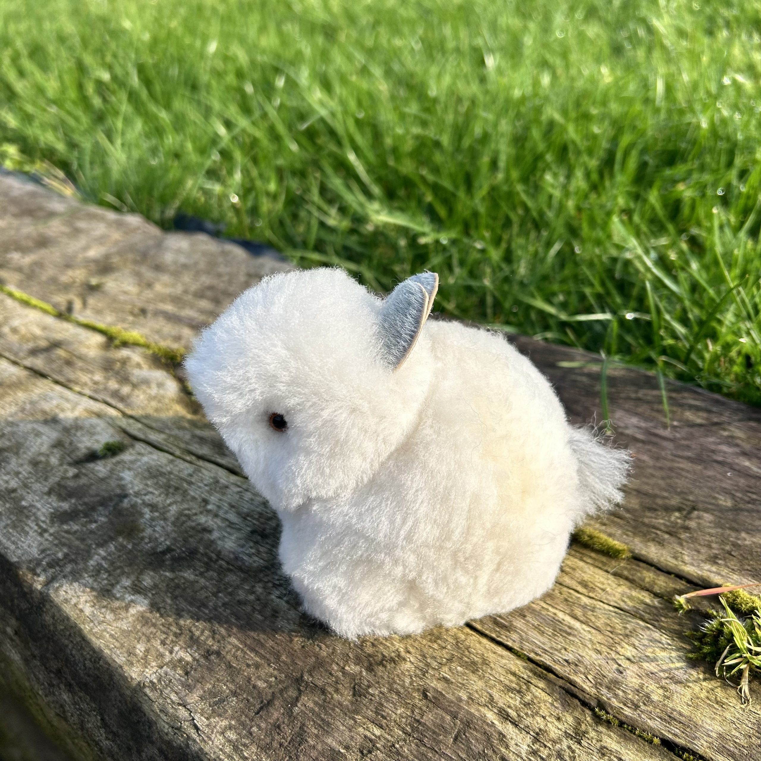 Alpaca Bunny