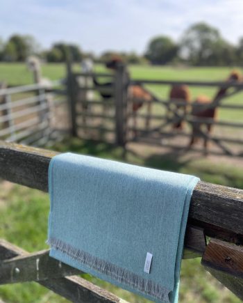 100% Baby Alpaca Ultra Luxury Soft Fringed Brushed Scarf