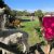 Fuschia
